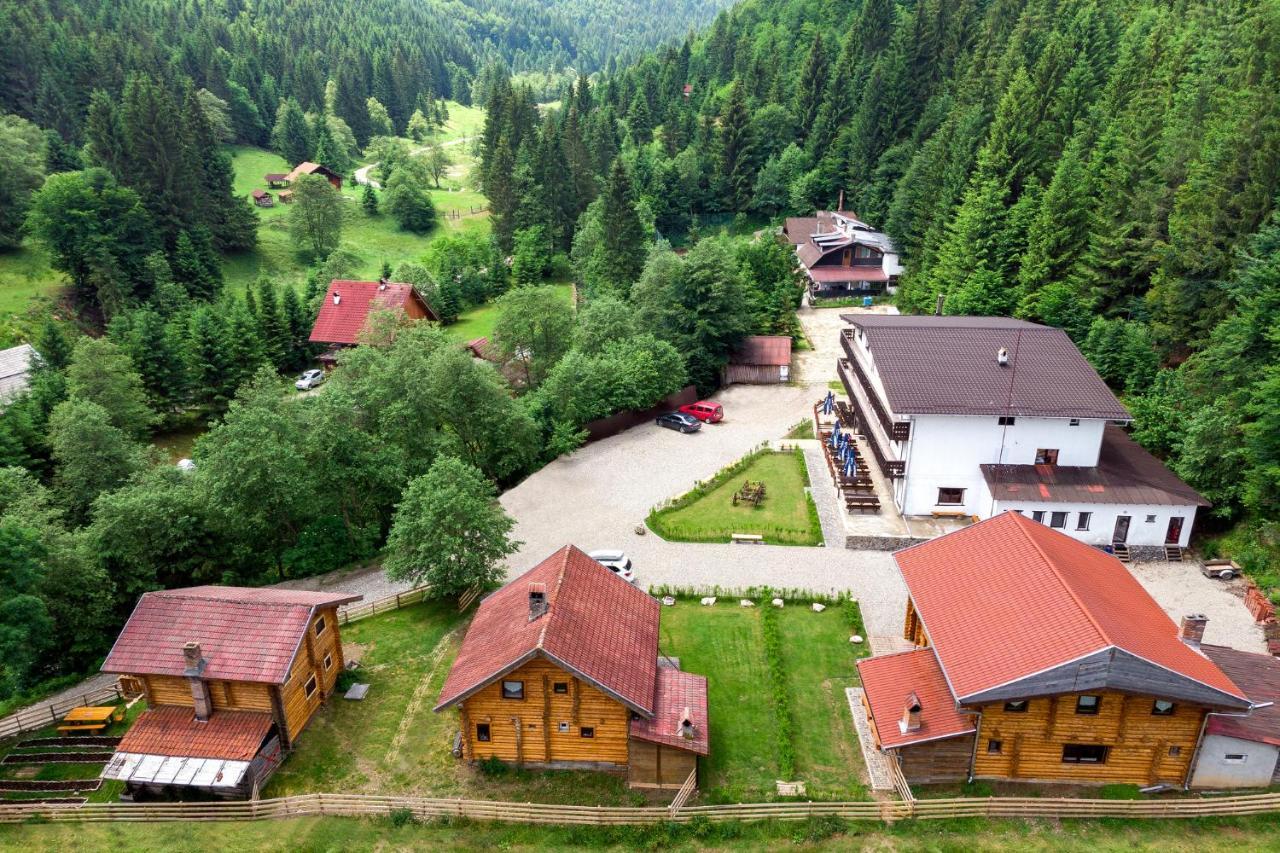 Resort 7 Crai - Cabana Craiul Crailor Zărneşti Exterior foto